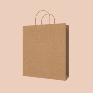 Sac Kraft Avec Anse